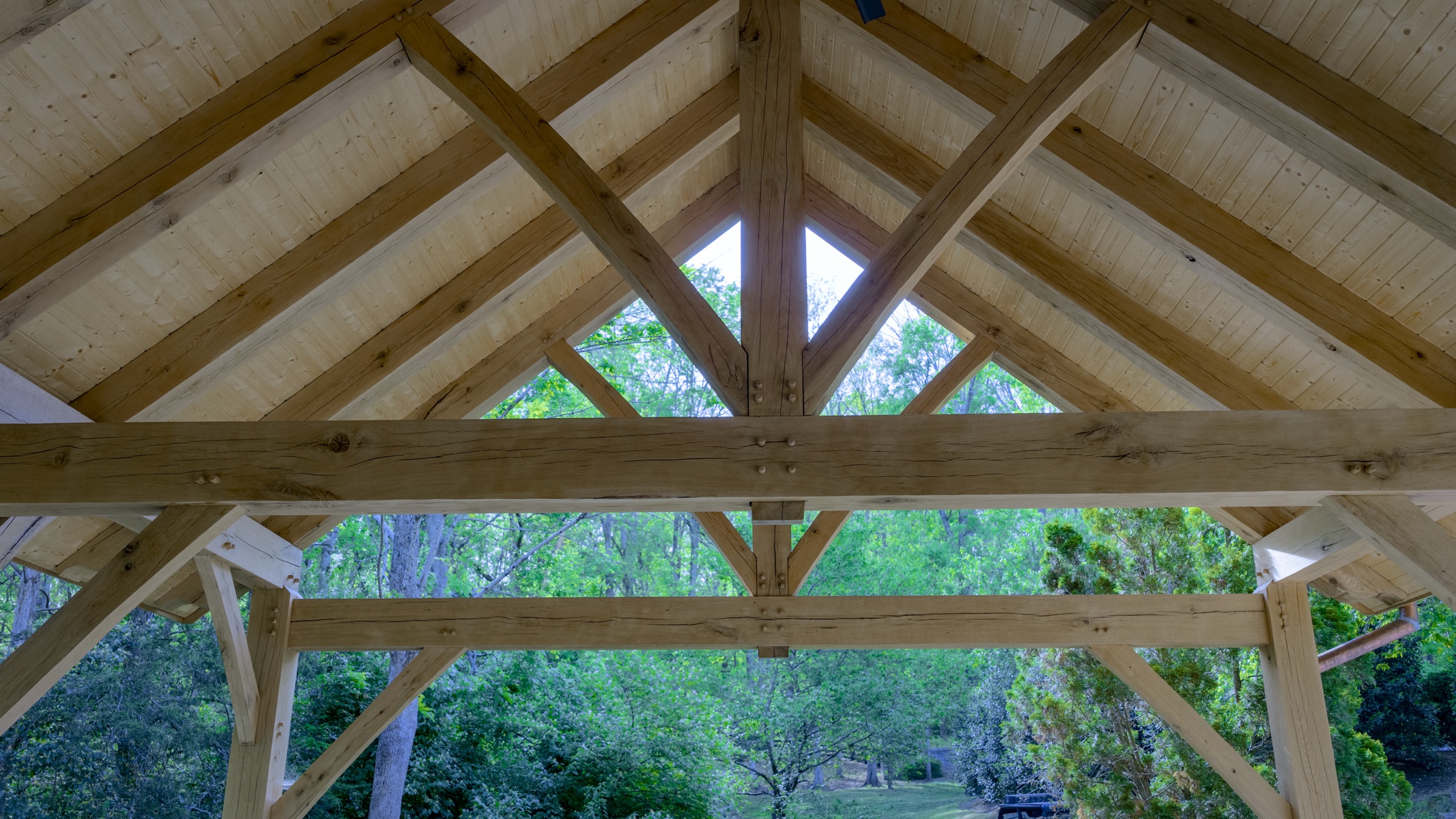 Vaulted king post truss interior with tongue and groove ceiling