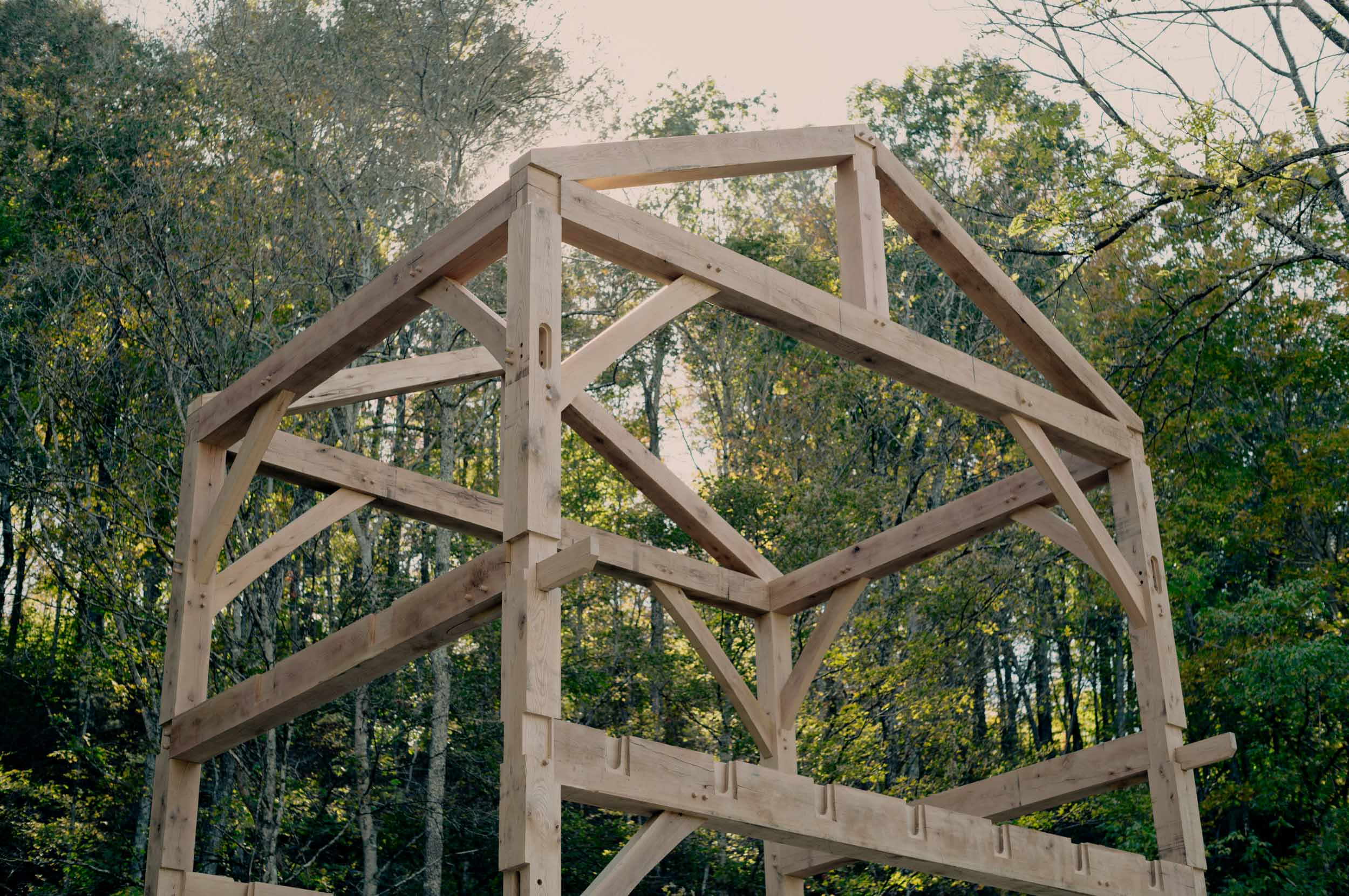 Timber frame structure under construction in a wooded setting